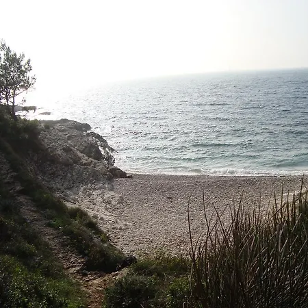 Filipec
